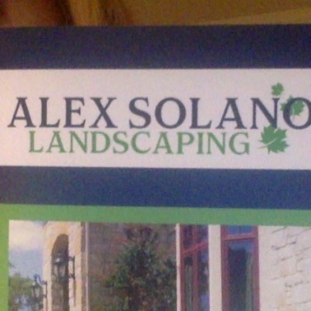 Meet your Posher, Alex